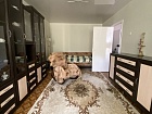 Романовка пос., 32