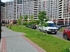 Мурино г., Екатерининская ул., 19