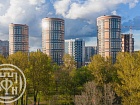 Коломяжский просп., 13