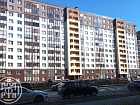 Ветеранов просп., 169
