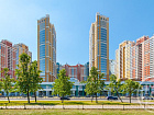 Просвещения просп., 43